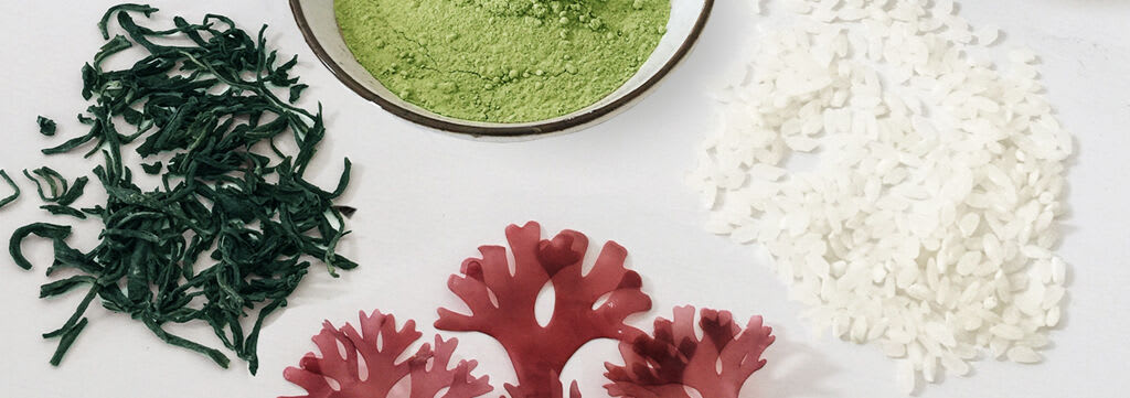 Japanese Rejuvenating Superfoods for Your Skin