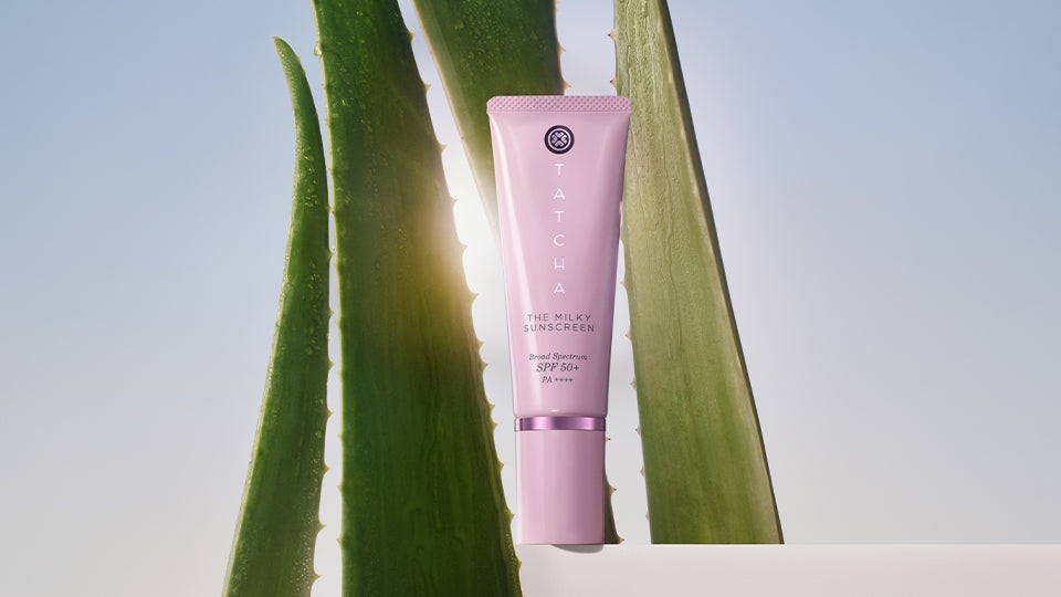 The Most Impressive Aloe Vera Benefits for Skin