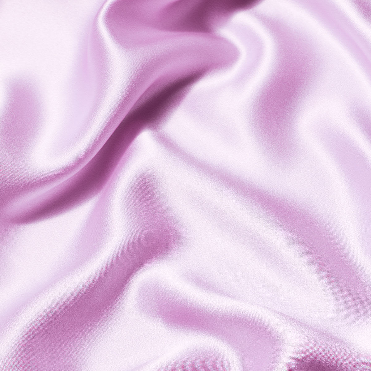 Silk Extract